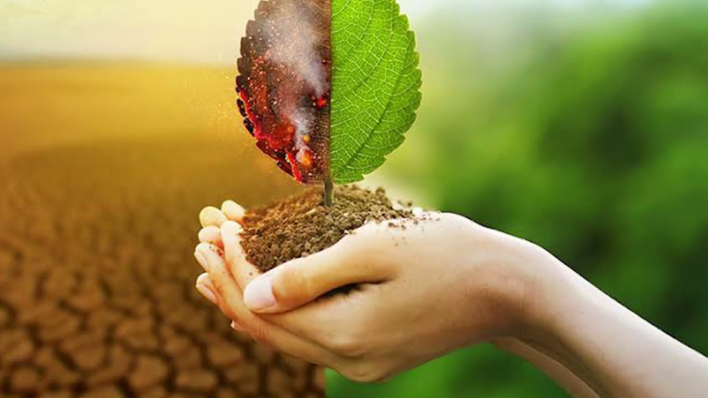 Farfesan waka – DUMAMAR YANAYI (Global Warming) – (With English subtitles) – 2023 - Featured Image