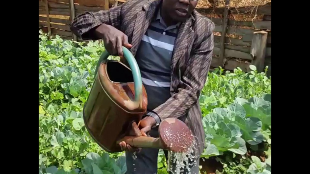 Farfesan Waka – Farfesan waka on the farm