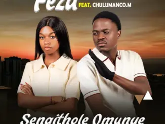 Feza Sengithole Omunye (Remix ) Ft. Chulumanco M Mp3 Download