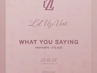 Lil Uzi Vert What You Saying Mp3 Download