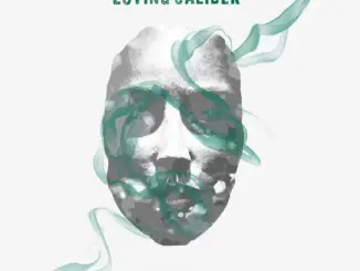 Loving Caliber Stuck In The Middle With You Mp3 Download