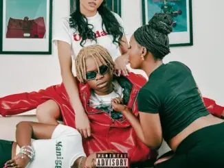 Sane Wav ON and OFF Mp3 Download
