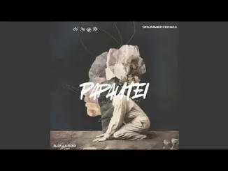 Sjavas99 & Drummertee924 Papaoutei (Stromae Remix) Mp3 Download