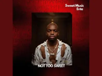 Sweet Music Entertainment NOT TOO SWEET Mp3 Download