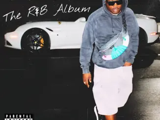 Troy Ave Can You Stand The Rain Mp3 Download