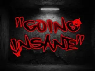 Yessir ImFly Going Insane Mp3 Download