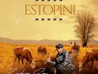 Zuko SA Estopini Mp3 Download
