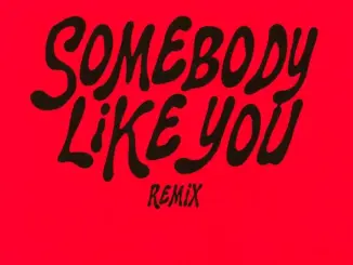 Lojay Somebody Like You (Ibara Remix) Ft. Ibara Mp3 Download